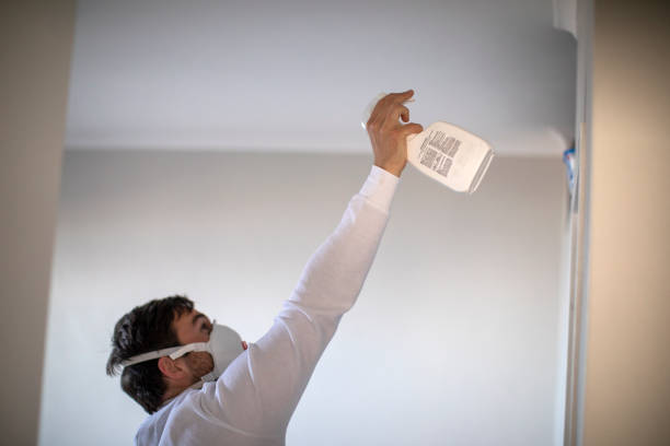 Best Affordable Mold Removal  in Hanna City, IL