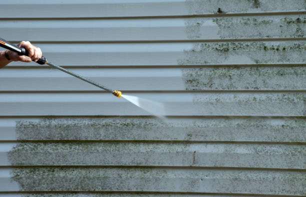 Best Fast Mold Removal  in Hanna City, IL